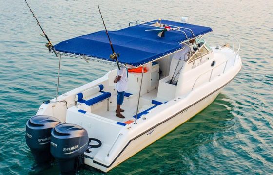 31ft Dubai Fishing Trip