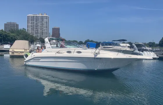 30ft Sea Ray Sundancer Motor Yacht - The Best of Chicago