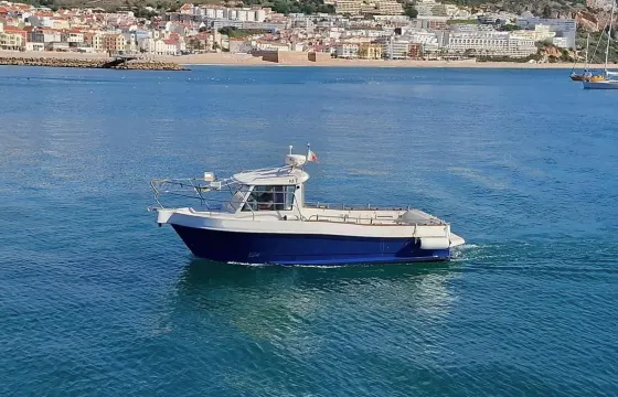 Sesimbra Boat Tour: Explore the Arrábida Coast!