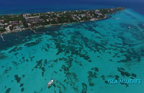 Private Cat 30' Magic-Sea-wind Sailing Catamaran