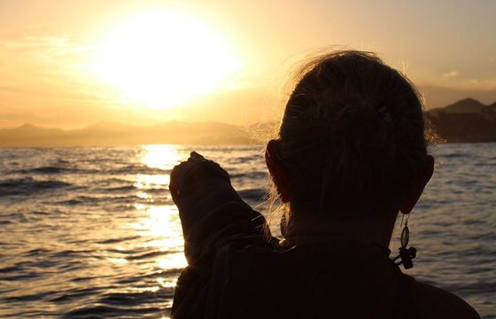 Sunset Whale Watching in San Jose del Cabo