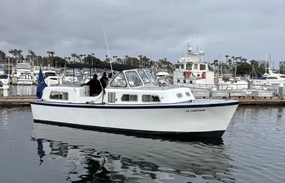 Captained 33' Wilard Yacht For San Diego Coastal Wildlife & Historic Boat Tour