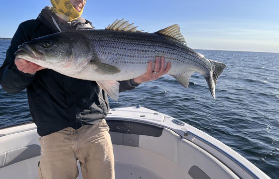 Saltwater Charter, Sightseeing and Family Mackerel Trips in Southern Maine
