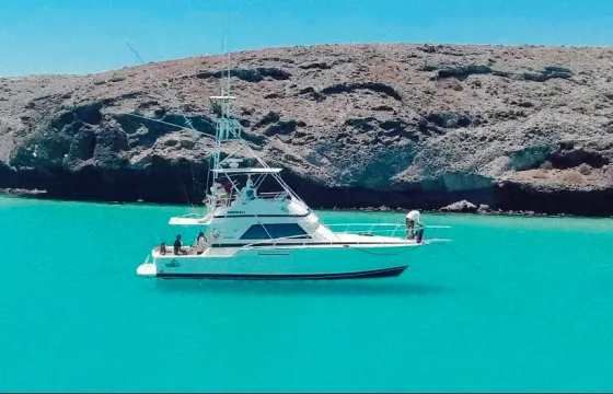 Bertram Sport 50- Fishing and Cruising to the next level