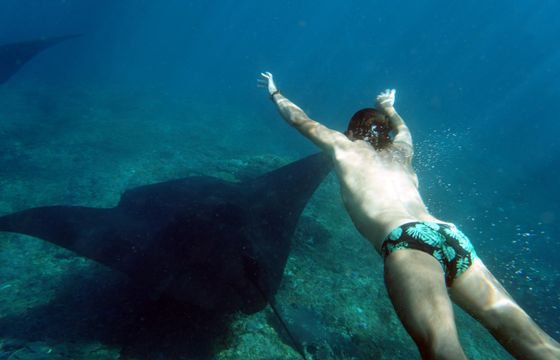 Snorkeling with Manta Rays in Bali. Starting price for the boat charter.