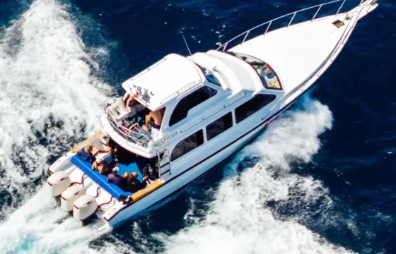 Snorkeling with Manta Rays in Bali. Starting price for the boat charter.