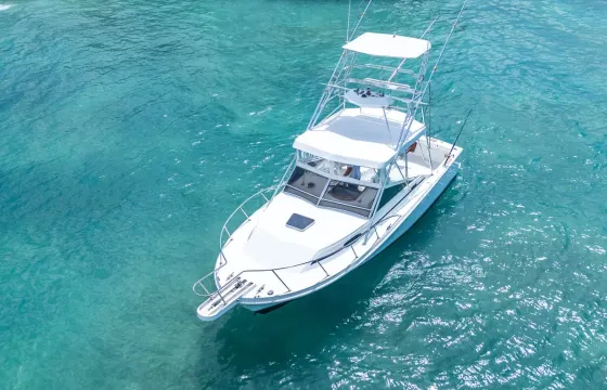 31’ Blackfin Private Yacht Charter – Full Day to Saona Island