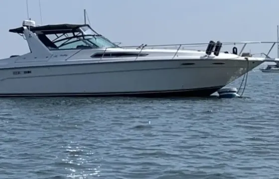 Sea Ray 39ft Yacht Charter in Deep River.  A great day on the water !