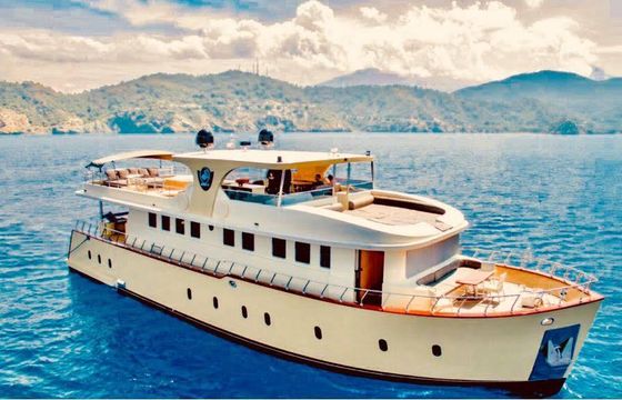 Charter a 4-Cabin Explorer Trawler for an Unforgettable Muğla Voyage