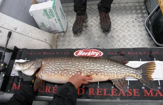 Guided Fishing Services In Sligo - DONEGAL & FERMANAGH