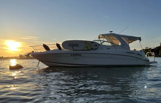 Discover Sydney Harbour - Cruise with Sea Ray 395 Motor Yacht