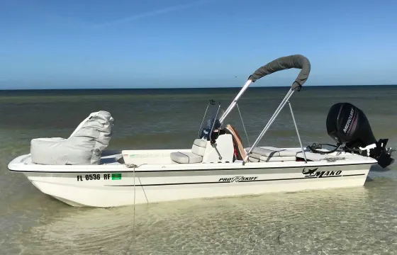 Dolphin Watching, Fishing, Cruising Adventure on the Intracoastal Waterway