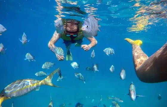🛥️🏝️ Snorkeling Cruise Charter in Puerto Plata🛥️🏝️
