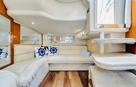 FREE HOUR 45’ SeaRay Sundancer (Best Crew)