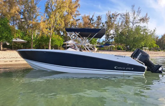 Cobra 254 Fishing Boat for Rent in Le Morne Brabant, Mauritius