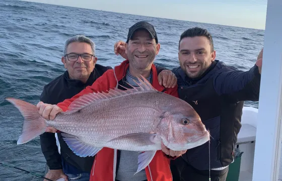 Polymade 780 Open Fishing Charter In Chiclana De La Frontera, Andalusia