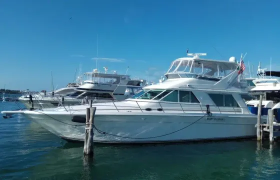 Glamorous Tour on 55ft Sea Ray Power Yacht
