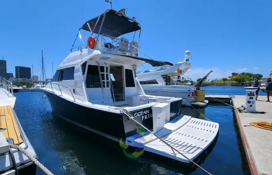 Private Tour in Rio: 50 feet "Kaiowá" Rio Star Yacht Rental in Rio de Janeiro