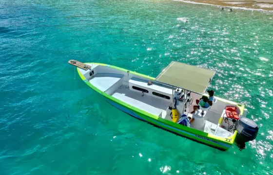 Navigate and Snorkel the sea of Cortez in Cabo with our 26ft Panga Boat
