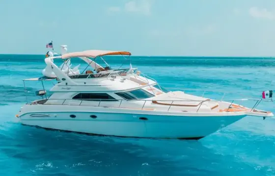 Sea Ray Sedanbridge 50' Motor Yacht | Visit Isla Mujeres from Cancun
