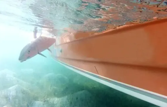 Bonefishing Charter in Center, Anegada, British Virgin Islands