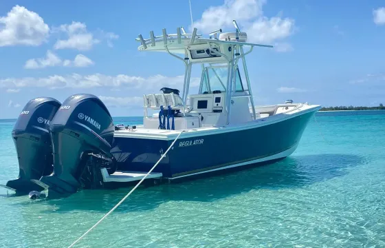 Rose Island Adventures