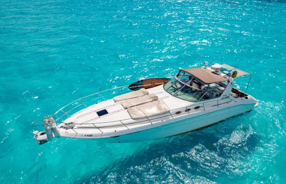 43ft Sea Ray Yacht Private Charter / Capacity 15 people