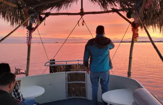 Sunset Dolphin Sightseeing Tour in Cocoa Beach, Florida