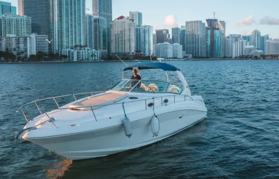 Sea Ray 37ft MotorYacht Best Rental in Miami for up to 12  peoples