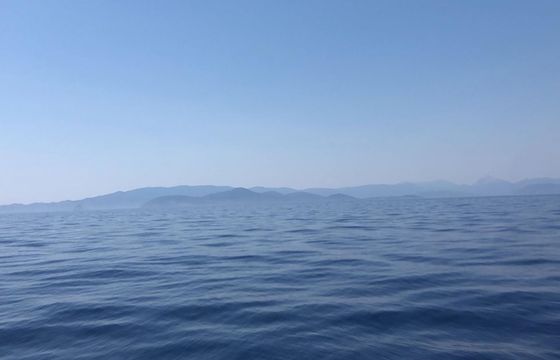 Daily Trip from Hydra to Dokos Island