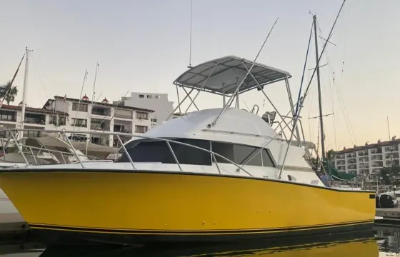 Lovely Bertram 34 SportFishing Charter in Puerto Vallarta, Jalisco