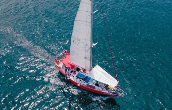 Magnificent Sailing Endeavour 40ft for a unique Experience at PV.
