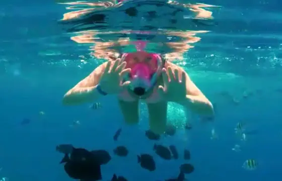🏆BEST 2025🏆 BOOZE CRUISE SAND BAR PUNTA CANA SNORKELING BAR ENTERTAINMENT