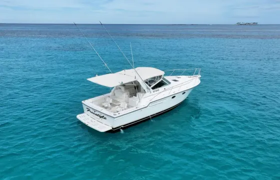 38' Tiara Motor Yacht for Fishing / Snorkel Trip In Nassau