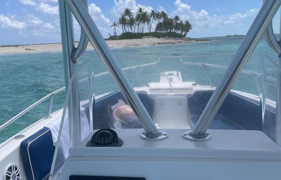Pleasure Private Tours on Rose Island and Gilligan Island, Swimming Pigs