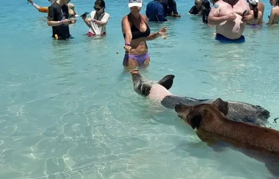 Nassau: Swimming Pigs, Snorkeling, Island Hopping, Private Boat Tour