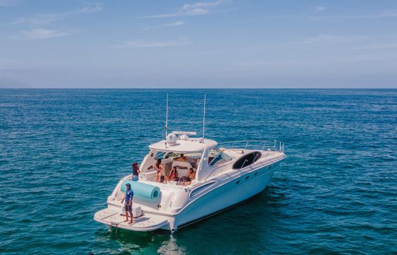 RUBY | Sea Ray Sundancer 55ft Beatiful Yacht for an Amazing day