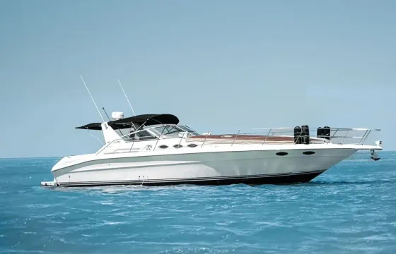 Sea Ray 41ft Motor Yacht in Holbox, Mexico