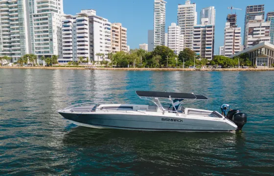 42 ft center console speed boat / Visit Rosario Islands and Baru