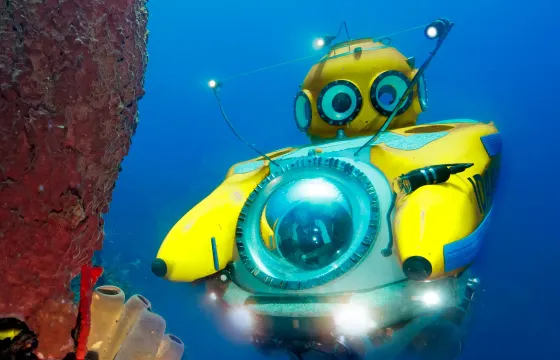 “Idabel” Submersible Rental in West End, Bay Islands Department