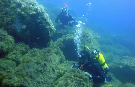 Try Boat coves in the south of Menorca with snorkeling in 2 coves