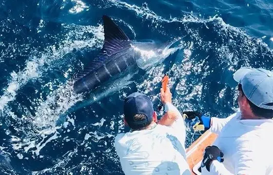 Fishing Charter with local people- Muscat, Oman
