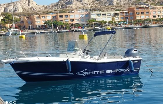 White Shark 205