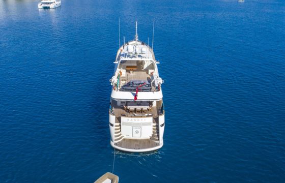 Falcon 115