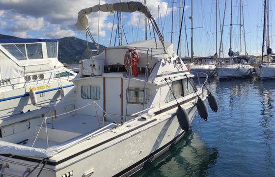 Bertram 28 fly