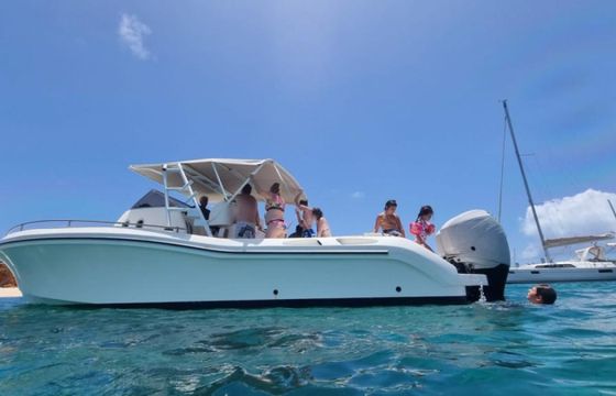 Fire bird 36 SOL