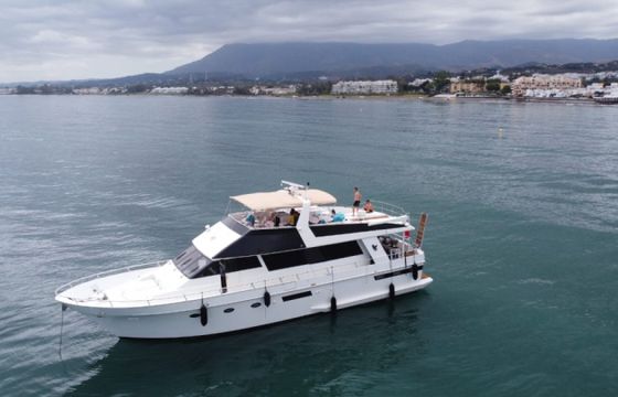 Viking 65