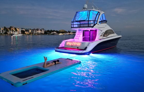 Sea Ray 550 Sedan Bridge