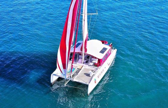 Ocean Voyager 53