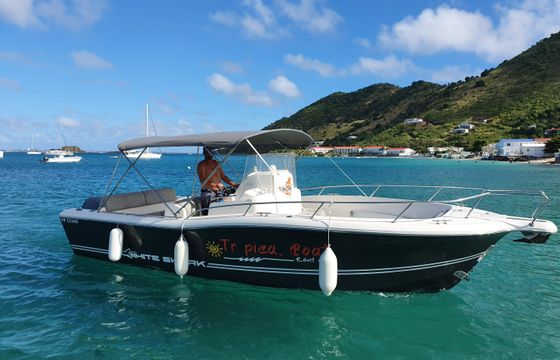 White Shark 265